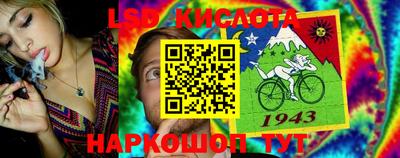 трава Кандалакша