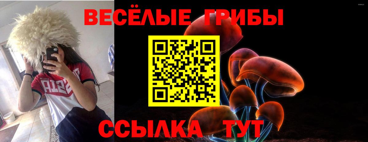 Красный Сулин  Галлюциногенные грибы прущие грибы  Вход с VPN 